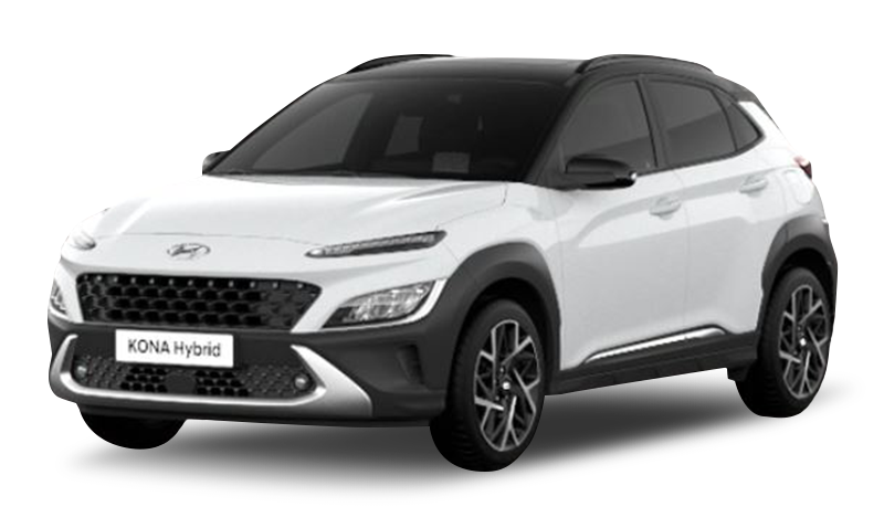 아틀라스 화이트 익스테리어